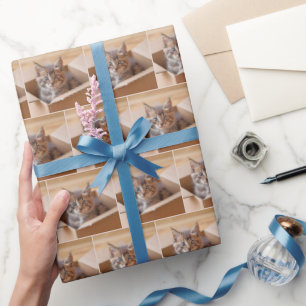 Tabby kitten in kartonnen doos cadeaupapier