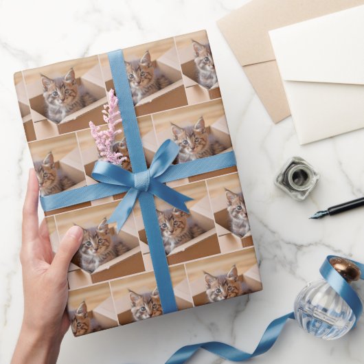 Tabby kitten in kartonnen doos cadeaupapier (Geschenken)