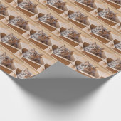 Tabby kitten in kartonnen doos cadeaupapier (Hoek)