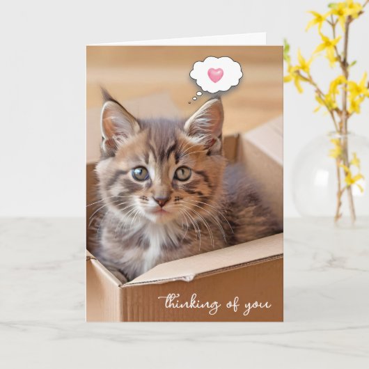 Tabby kitten in kartonnen doos denken aan u kaart (Gele Bloem)