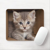 Tabby kitten in kartonnen doos muismat (Met muis)