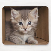 Tabby kitten in kartonnen doos muismat (Voorkant)