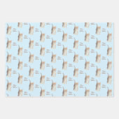 Tabby Kitten inpakpapieren vellen (Voorkant 2)