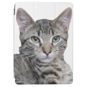 Tabby Kitten iPad Air Cover