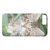 Tabby Kitten iPhone 7 plus hoesje (Achterkant (Horizontaal))