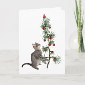 Tabby Kitten Kaart kerstboom (Voorkant)