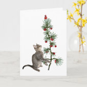 Tabby Kitten Kaart kerstboom (Gele Bloem)