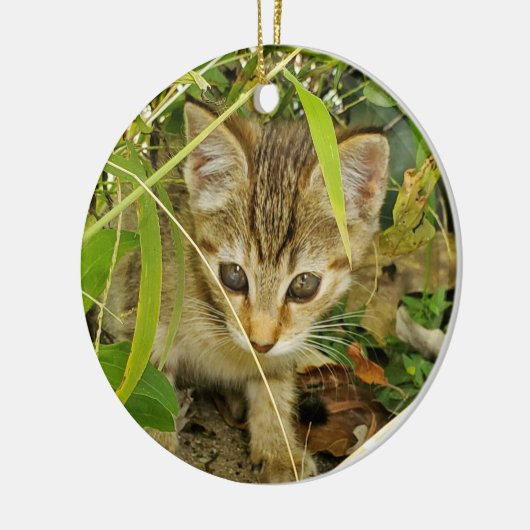 Tabby kitten keramisch ornament (Links)