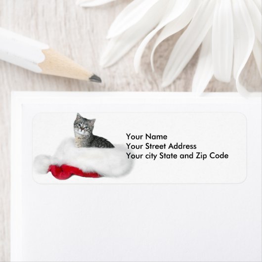 Tabby kitten Kerstmis Etiket (Insitu)