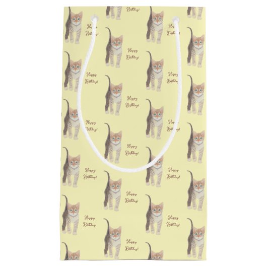 Tabby Kitten  Klein Cadeauzakje (Voorkant)