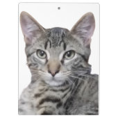 Tabby Kitten Klembord (Achterkant)