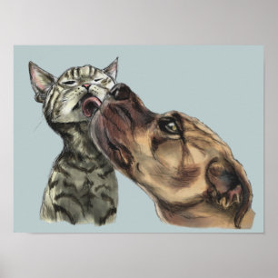 Tabby Kitten krijgt een pitbull kus Poster