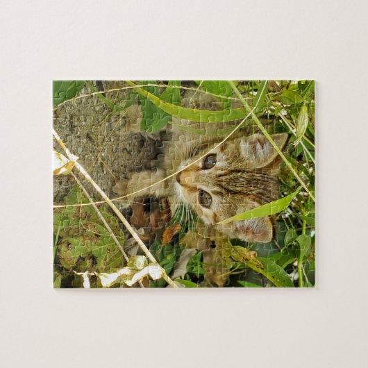 Tabby kitten legpuzzel (Horizontaal)