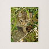 Tabby kitten legpuzzel (Verticaal)