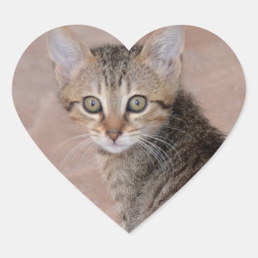 Tabby Kitten Love Heart Stickers (Voorkant)