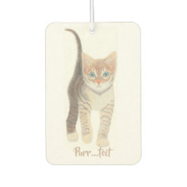 Tabby Kitten Luchtverfrisser