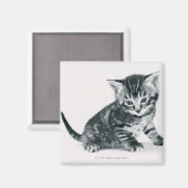 Tabby Kitten Magneet (Voorkant / Achterkant)
