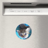 Tabby Kitten Magneet (Insitu (Vaatwasser))