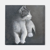 Tabby Kitten Magneet (Voorkant)