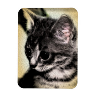 Tabby Kitten Magneet