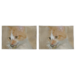 Tabby kitten met een witte daisy kussensloop