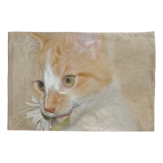 Tabby kitten met een witte daisy kussensloop (Achterkant-Links)