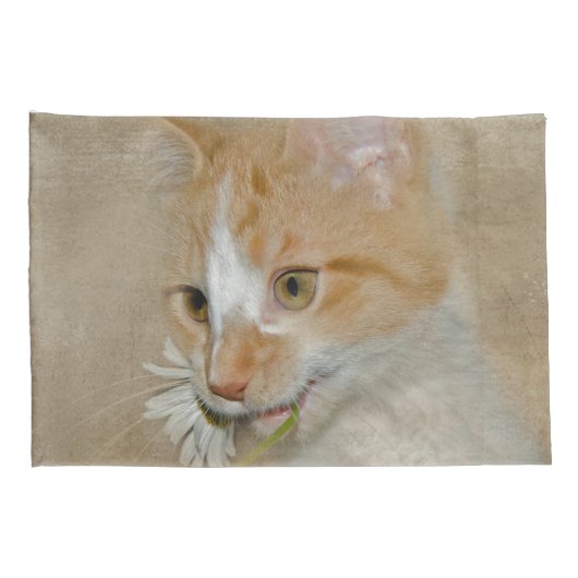 Tabby kitten met een witte daisy kussensloop (Achterkant-Rechts)