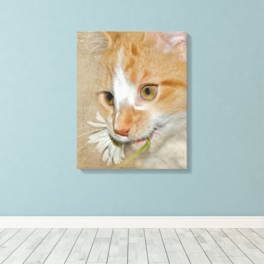 Tabby kitten met madeliefje canvas afdruk (Insitu (Houten vloer))