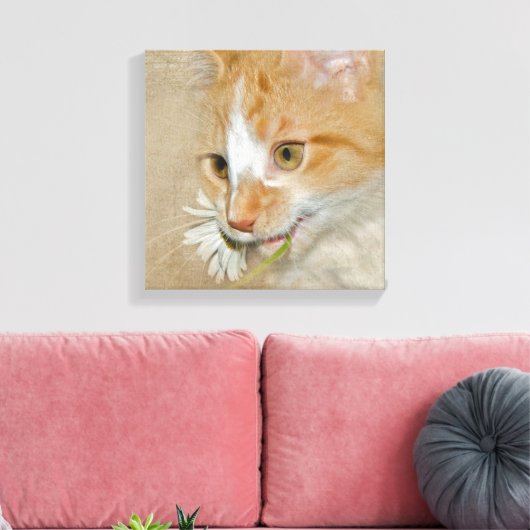 Tabby kitten met madeliefje canvas afdruk (Insitu (Woonkamer))