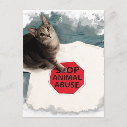 Tabby kitten met oorzaak Stop Dierenmishandeling Briefkaart (Voorkant)