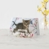 Tabby Kitten met Verrast Kijk Verjaardag vergeten Kaart (Gele Bloem)