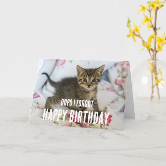Tabby Kitten met Verrast Kijk Verjaardag vergeten Kaart (Gele Bloem)