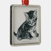 Tabby Kitten Metalen Ornament (Rechts)