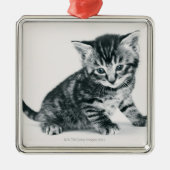 Tabby Kitten Metalen Ornament (Voorkant)