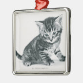 Tabby Kitten Metalen Ornament (Links)