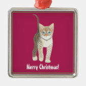 Tabby Kitten Metalen Ornament (Voorkant)