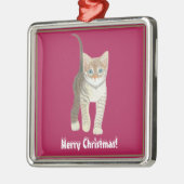 Tabby Kitten Metalen Ornament (Links)