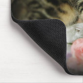 Tabby kitten mousepad muismat (Hoek)