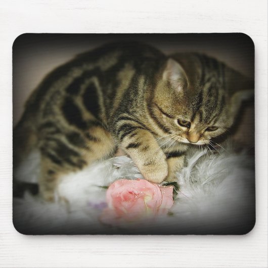 Tabby kitten mousepad muismat (Voorkant)