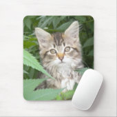 Tabby Kitten Muismat (Met muis)