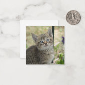 Tabby kitten notitiekaartje (Voorkant / Achterkant in situ)