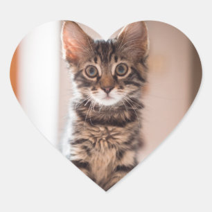 Tabby Kitten op tafel Hart Sticker