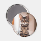 Tabby Kitten op tafel Magneet (Voorkant / Achterkant)