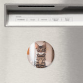 Tabby Kitten op tafel Magneet (Insitu (Vaatwasser))