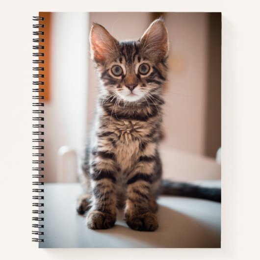 Tabby Kitten op tafel Notitieboek (Voorkant)