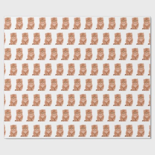 Tabby Kitten op wit Cadeaupapier (Vlak)