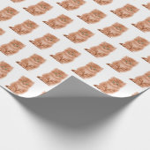 Tabby Kitten op wit Cadeaupapier (Hoek)