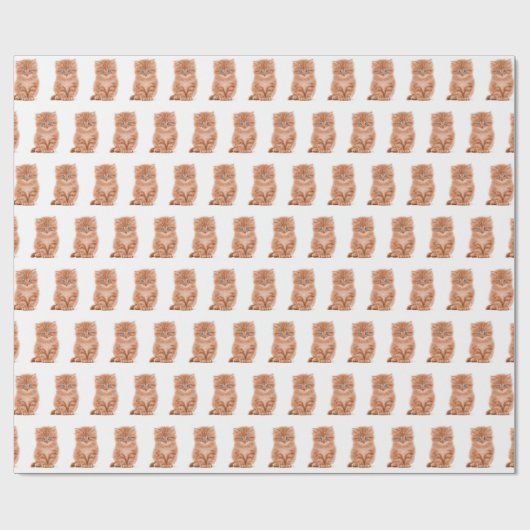 Tabby Kitten op wit Cadeaupapier (Vlak)