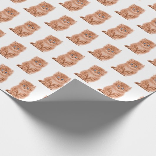 Tabby Kitten op wit Cadeaupapier (Hoek)