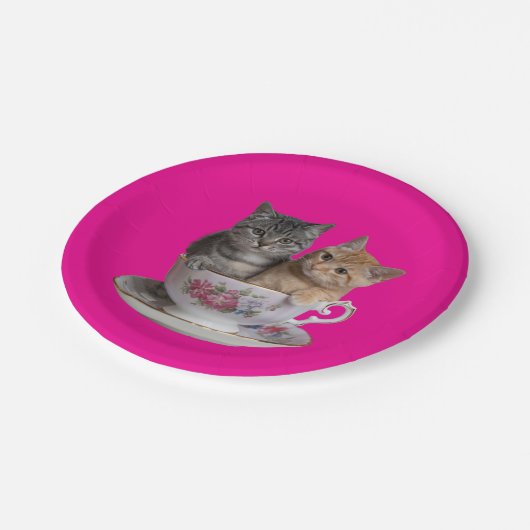 Tabby Kitten Paper Bord (Gekanteld)